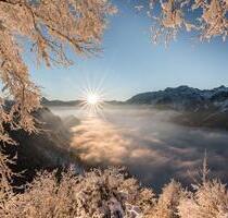 Ferienwohnungen Pfronten#Allgäu#Neuschwanstein