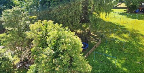 Foto - Superwohnung im Dachgeschoß mit EBK+Balkon in guter Lage Chemnitz