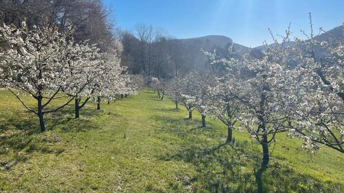 Foto - Grundst&uuml;ck in Pretzfeld