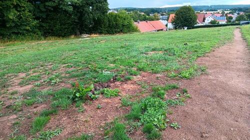 Foto - Grundstück in Alsfeld