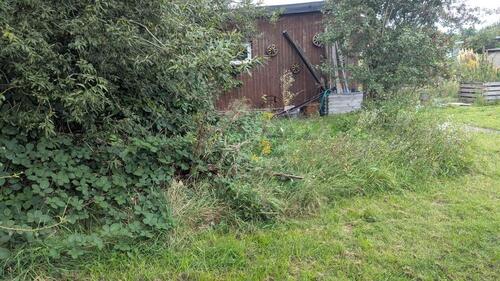 Foto - Grundstück zur Miete in Halle (Saale)