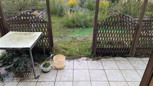 Foto - Grundstück in Halle (Saale)