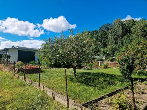 Foto - Liebevoll gepflegter Garten abzugeben
