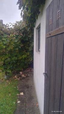 Foto - Gepflegter Garten in ruhiger Lage – Frohe Zukunft