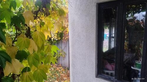 Foto - Grundstück zur Miete in Halle (Saale)