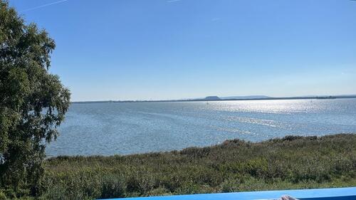 Foto - Ferienwohnung direkt am Steinhuder Meer