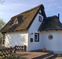 Haus Wochenendhaus Ferienhaus am Dümmer See - Lemförde