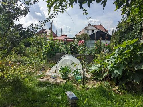 Foto - Grundstück zur Miete in Dresden