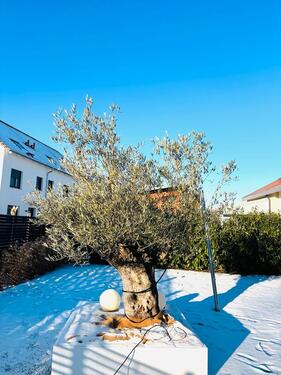 Foto - 5 Zimmer Reihenhaus in Rottenburg am Neckar