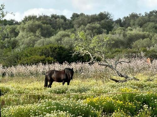 Foto - andere in Winterbach zur Miete