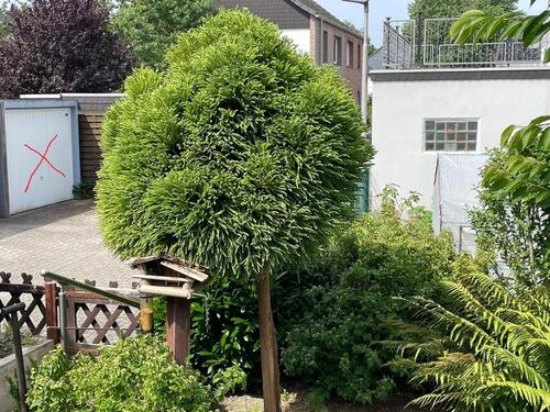 Foto - Reihenhaus in Grefrath zum Kaufen