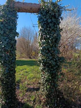 Foto - Mobilheim auf wunderschönem Grund zu vermieten, S-Bahn Nähe