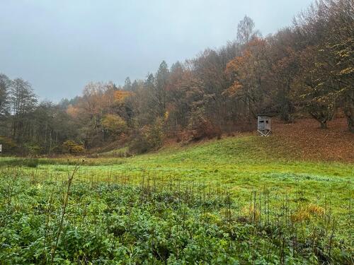Foto - Grundstück Weide Bachlauf Natur Koppel in Helsa bei Kassel