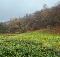 Grundstück Weide Bachlauf Natur Koppel in Helsa bei Kassel