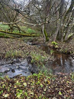 Foto - Grundstück zur Miete in Helsa