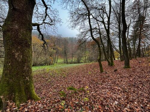 Foto - Grundstück in Helsa