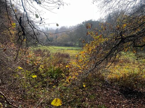 Foto - Grundstück in Helsa zur Miete