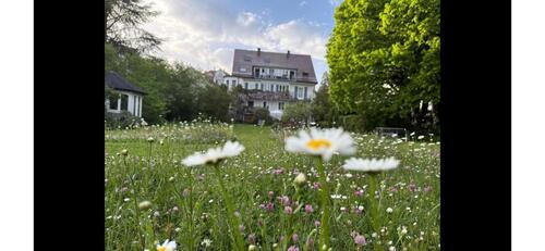 Foto - andere zur Miete in Friedrichshafen