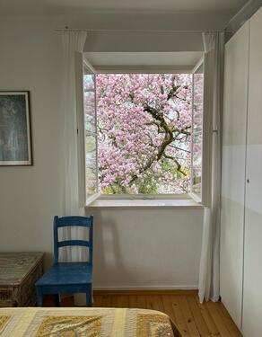 Foto - andere in Friedrichshafen zur Miete