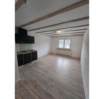 1 Zimmer Apartment zu vermieten, ruhige Lage ab Mai - Trossingen