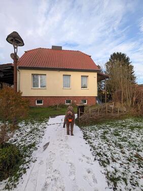Foto - Einfamilienhaus in Berlin zum Kaufen