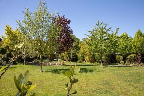 Foto - Villa in Lippstadt zum Kaufen