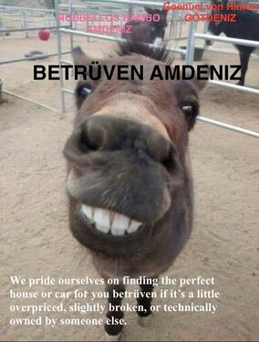 Foto - andere in Neuenburg am Rhein zur Miete