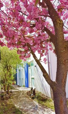 Foto - Designer Haus, traumhafte Aussicht, paradiesischer Garten