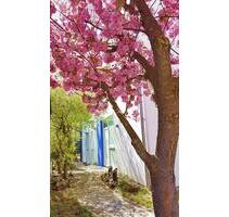 Designer Haus, traumhafte Aussicht, paradiesischer Garten - Östringen