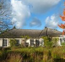 ++ ohne Makler ++ großzügiges barrierefreies Einfamilienhaus - Rethem (Aller)
