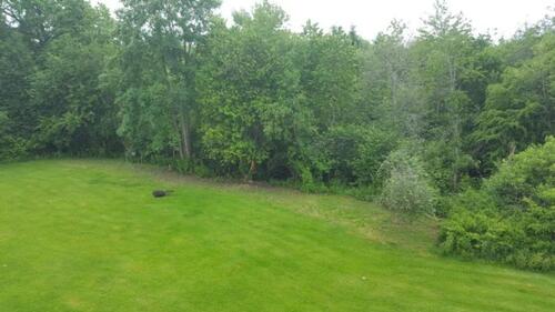 Foto - 3 Zimmer Etagenwohnung zur Miete in Villingen-Schwenningen