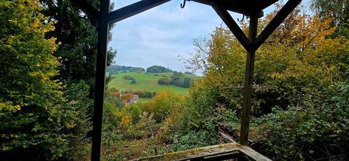 Foto - Grundstück mit Hütte am Herrlesberg