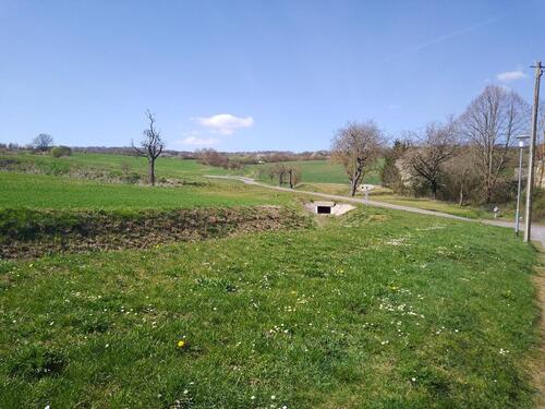 Foto - 6 Zimmer Einfamilienhaus in Allstedt