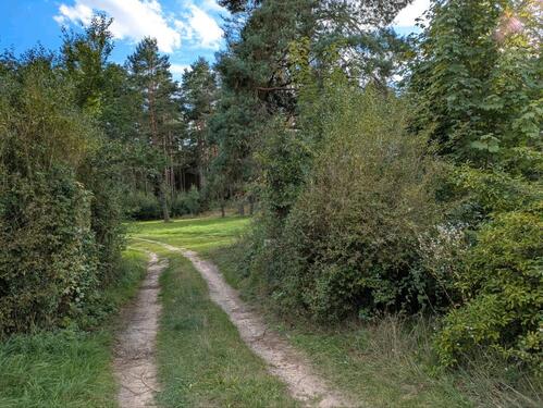 Foto - Wohnen im Grünen Offenstetten - 980,00&nbsp;EUR Kaltmiete, ca.&nbsp; 60,00&nbsp;m&sup2;