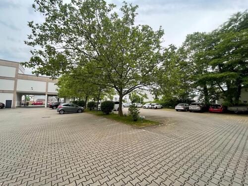 Foto - Etagenwohnung in Dresden