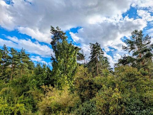 Foto - 2 Zimmer Erdgeschoßwohnung zur Miete in Abensberg