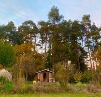 Traumhafter Kleingarten Pachtgarten Garten am Thüringer Wald - Geratal