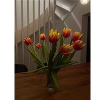 Mittelreihenhaus in zentraler Lage von Buchholz zu vermieten - Buchholz in der Nordheide