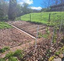 Garten mit Gartenhaus zu verpachten in Mehmels - Wasungen