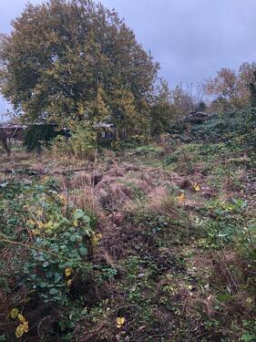 Foto - Grundstück zur Miete in Lübeck