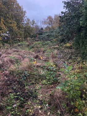 Foto - Grundstück in Lübeck