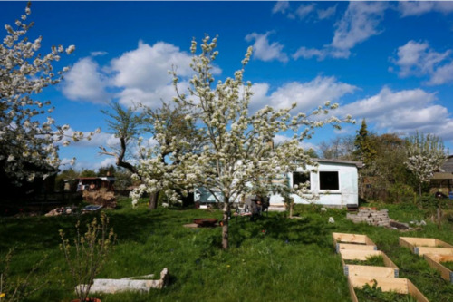 Foto - Garten in Kleingartenanlage abzugeben
