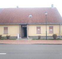 Schönes altes Haus mit Hof und Nebengebäuden - Südliches Anhalt Pfaffendorf