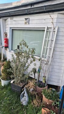 Foto - Einfamilienhaus in Xanten zum Kaufen
