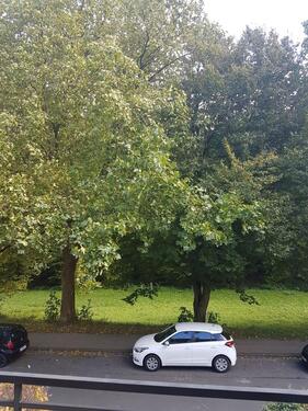 Foto - 2 Zimmer Etagenwohnung zur Miete in Bielefeld