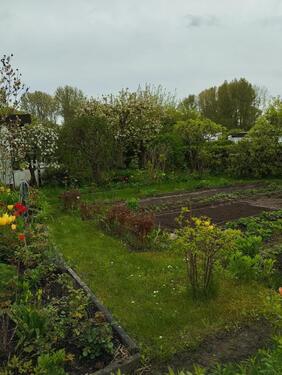 Foto - Grundst&uuml;ck zur Miete in Admannshagen-Bargeshagen