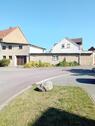 Foto - Einfamilienhaus in Erxleben zum Kaufen