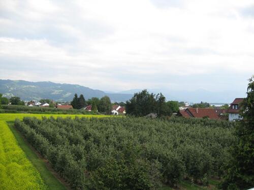 Foto - Etagenwohnung in Lindau (Bodensee)