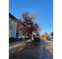 Barrierefreie, seniorengerechte 2,5-Zi-Wohnung mit Terrasse - Limburgerhof