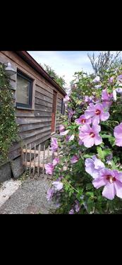 Foto - andere in Willich